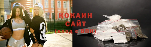 прущие грибы Кулебаки