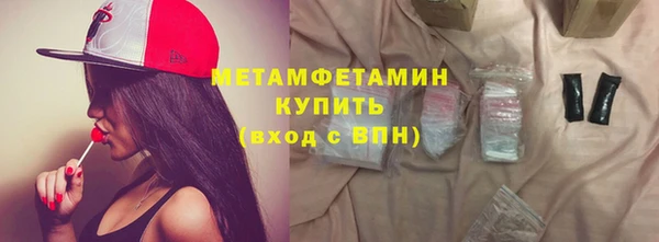 прущие грибы Кулебаки