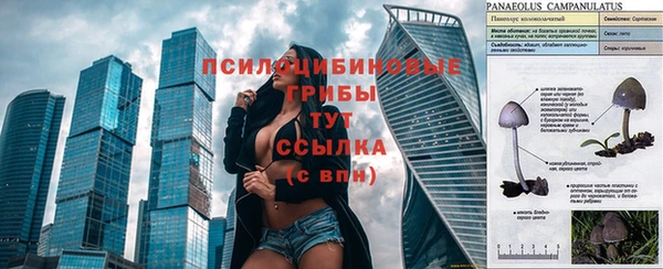 прущие грибы Кулебаки