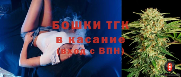 прущие грибы Кулебаки