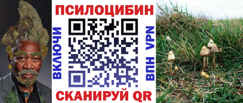 Галлюциногенные грибы ЛСД  Нижняя Салда 